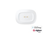 Smart Home - Aeotec Slimme dingen Waterlek Sensor - GP-AEOWLSEU