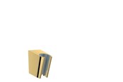 Douche- en montageaccessoires - Hansgrohe shower Houder porter s Gepolijst gold-optic - 28331990