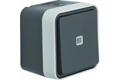 Schakeleenheden - Berker Illuminated change over switch lens grey w1 - 30763525