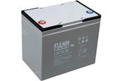 Verbruiksartikelen - Celltech Leoch lead acid Batterij 12v/70ah ct70-12 5 jaar design life size l348xw167xh178 t6 terminal - 460-6115