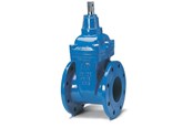 Watervoorzieningsproducten - Avk Gate valve avk 65mm wirh flanges - 06065308146499