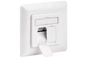Accessoires (mounts, stopcontacten etc.) - Pro CAT 6 wandplaat voor inbouwmontage - 4040849682469