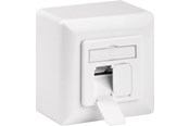 Accessoires (mounts, stopcontacten etc.) - Pro CAT 6 Universal wall plate incl. on-wall mounting - 4040849682445