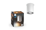 Smart Home - Philips Pillar Hue ext. spot single spot white 1 - 929003811301