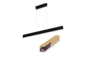 Smart Home - Philips Ensis Hue pendant black 2x39W 24V - 929003052501