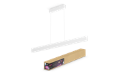 Smart Home - Philips Ensis Hue pendant white 2x39W 24V - 929003053301