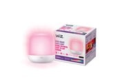 Smart Home - WiZ Heldere bureaulamp - 929002626722
