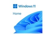 Besturingssysteem - Microsoft Windows 11 Home Engels - KW9-00632