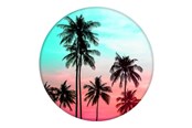 Mobiel - Overige accessoires - PopSockets Swappable PopGrip - Vingergreep/standaard for mobile phone tablet - 801219