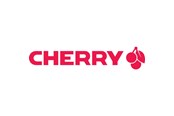 Toetsenbord - Cherry DW 9100 - Keyboard and mouse set - Zwart - JD-9100PN-2