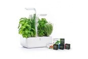 Smart Home - Veritable Klassieke Binnentuin - VPOT-CAWAW-A-1
