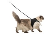 Katten - Trixie Soft harness cat with leash XXL 36–54 cm 1.20 m Zwart - TX41895