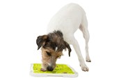Honden - Trixie Lick'n'Snack Plaat 20x20cm - TX34952