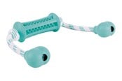 Honden - Trixie Denta Fun Stick with Rope - Mint Flavour 9x37cm - TX33771