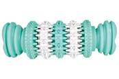 Honden - Trixie Denta Fun Bone Kauwspeeltje van Natuurlijk Rubber met Muntsmaak Groot 15cm - TX32944