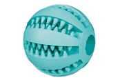 Honden - Trixie Dog Toy Denta Fun Ball Rubber Mint Flavour 5cm - TX3259