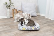 Knaagdieren - Trixie Knuffelbed Sunny voor Kleine Huisdieren Konijnen - TX62803
