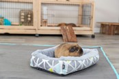 Knaagdieren - Trixie Knuffelbed Sunny voor Kleine Huisdieren Cavia's Kleine Konijnen - TX62802