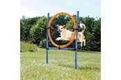 Honden - Trixie Fun Agility Ring – Verstelbare trainingshoepel voor honden - TX3208