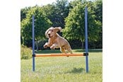 Honden - Trixie Dog Fun Agility Hurdle 123x115cm - TX3207