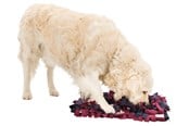 Honden - Trixie Dog Activity Sniffing Carpet Strategy Game 50x34cm - TX32037