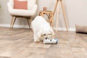Honden - Trixie Hondenactiviteit Speeltje Snack-Rol - TX32020