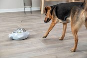 Honden - Trixie Snack Popper - TX32004