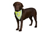 Honden - Trixie Veiligheidsbandana voor honden S-M 29-42cm - TX30122