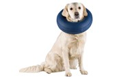 Honden - Trixie Protective Collar Inflatable S 24-31cm - TX19542