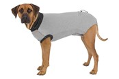 Honden - Trixie Beschermende herstelbody voor honden Maat: XL Ruglengte: 70cm - TX19539