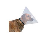 Honden - Trixie Protective Halsband Plastic L–XL: 47–57 cm/30 cm - TX19486