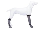 Honden - Trixie Protective Sock silicone L: 10 cm/40 cm grey - TX19433
