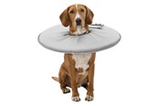 Honden - Trixie Protective Halsband polyester/foam XS: 23–27 cm/13 cm Grijs - TX19422