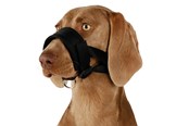 Honden - Trixie Muzzle loop nylon XL–XXL Zwart - TX19283