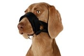 Honden - Trixie Muzzle loop nylon L–XL Zwart - TX19282
