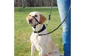 Honden - Trixie Top Trainer Training harness s Zwart - TX13002