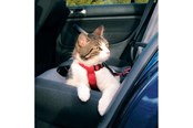 Katten - Trixie Car cat harness 20–50 cm/15 mm Rood - TX1294