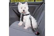 Honden - Trixie Car Harness Safety Belt XS 20-50cm/25 mm Stomach Circum 20-50cm - TX1288