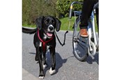 Honden - Trixie Biker-set L-shaped S–M Zwart - TX1287