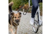 Honden - Trixie Biker-Set voor Veilig Fietsen met de Hond U-vormig Maat M-XL - TX12860