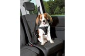 Honden - Trixie Comfort car harness S–M: 40–55 cm/17 mm Zwart - TX12855