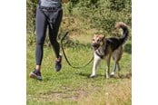Honden - Trixie Heupgordel met Lijn voor Middelgrote en Grote Honden - TX12766