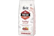 Honden - Brit Vers rundvlees met pompoen voor grote puppy's 12 kg - BH281200