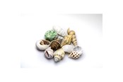 Vissen - Dohse Sea Shells Set m 10 pcs. - AT40222
