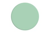 Mobiel - Overige accessoires - PopSockets Basic Grip Pastel Mint - 806117