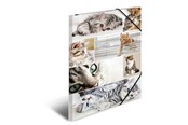 Mapper en Klemborden - HERMA Elasticated folder A3 cardboard Katten - 19219