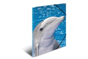 Mapper en Klemborden - HERMA Elasticated folder A3 PP Dolphin - 7146