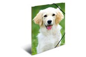 Mapper en Klemborden - HERMA Elasticated folder A3 PP Honden - 7144