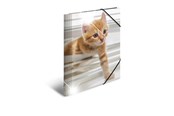 Mapper en Klemborden - HERMA Elasticated folder glossy Dieren A4 PP Katten - 19328