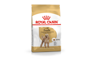 Honden - Royal Canin Poodle Adult 1.5kg - 3182550743174
